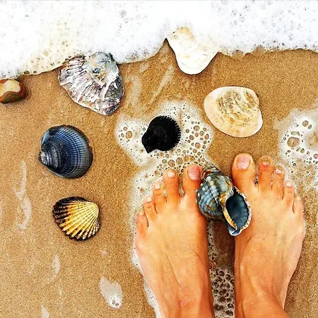 Laranja , Charming Portuguese Style For Rent Vida A Portuguesa アパート *