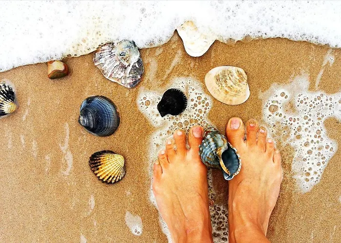 Laranja , Charming Portuguese Style For Rent Vida A Portuguesa Lägenhet *